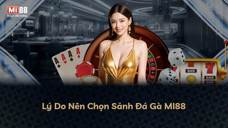 Lý Do Nên Chọn Sảnh Đá Gà MI88